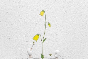 Reward the first to go -2-